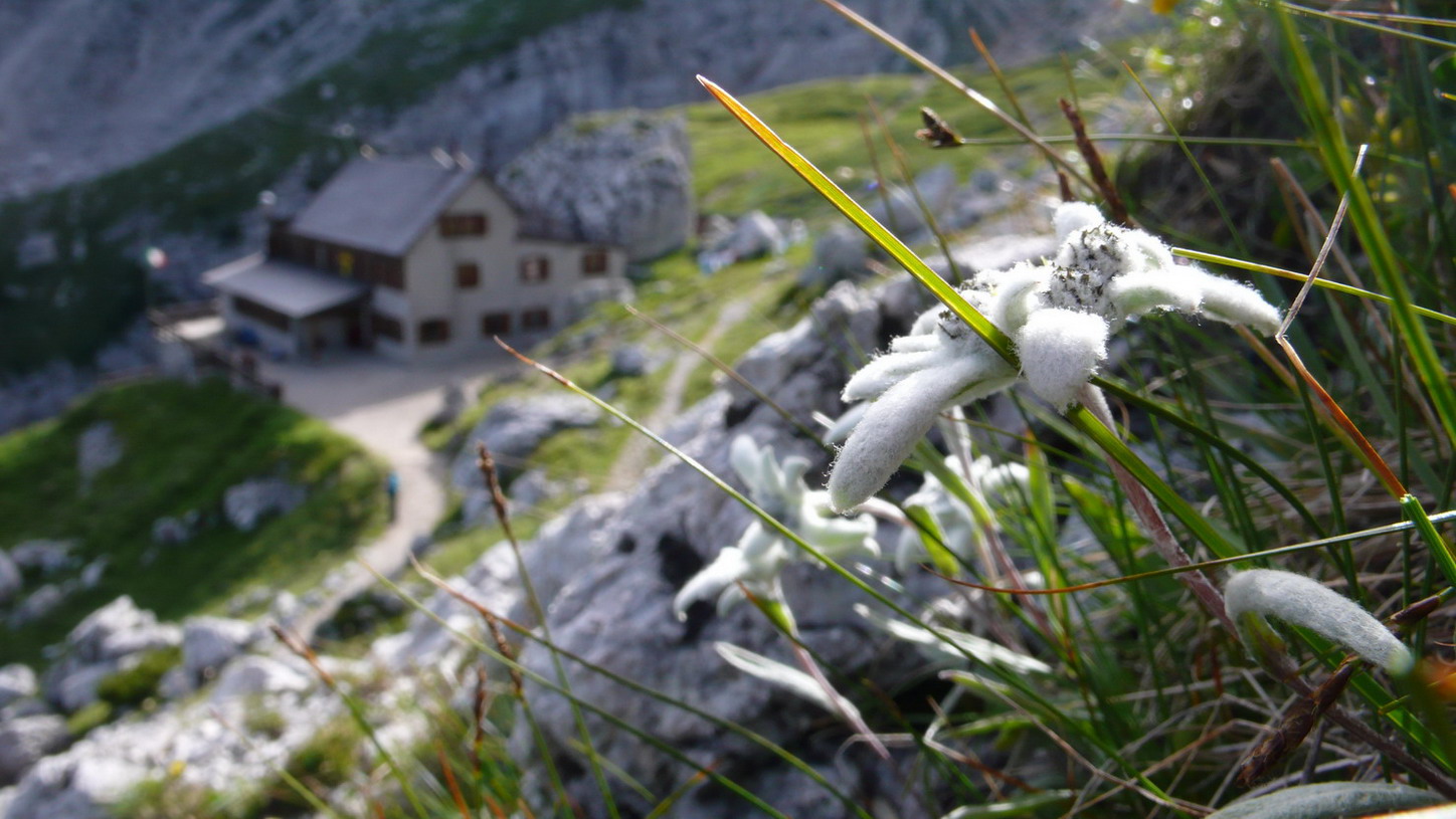 Scenari alpini